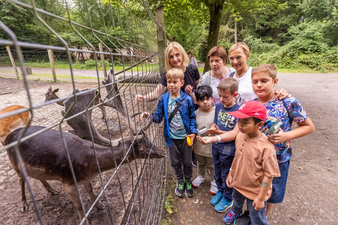 Löwenbanden Ausflug zum Hohenstein